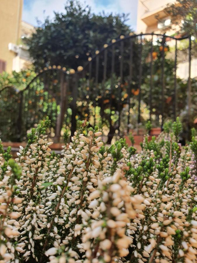 Villa Goethe 아그리젠토 외부 사진